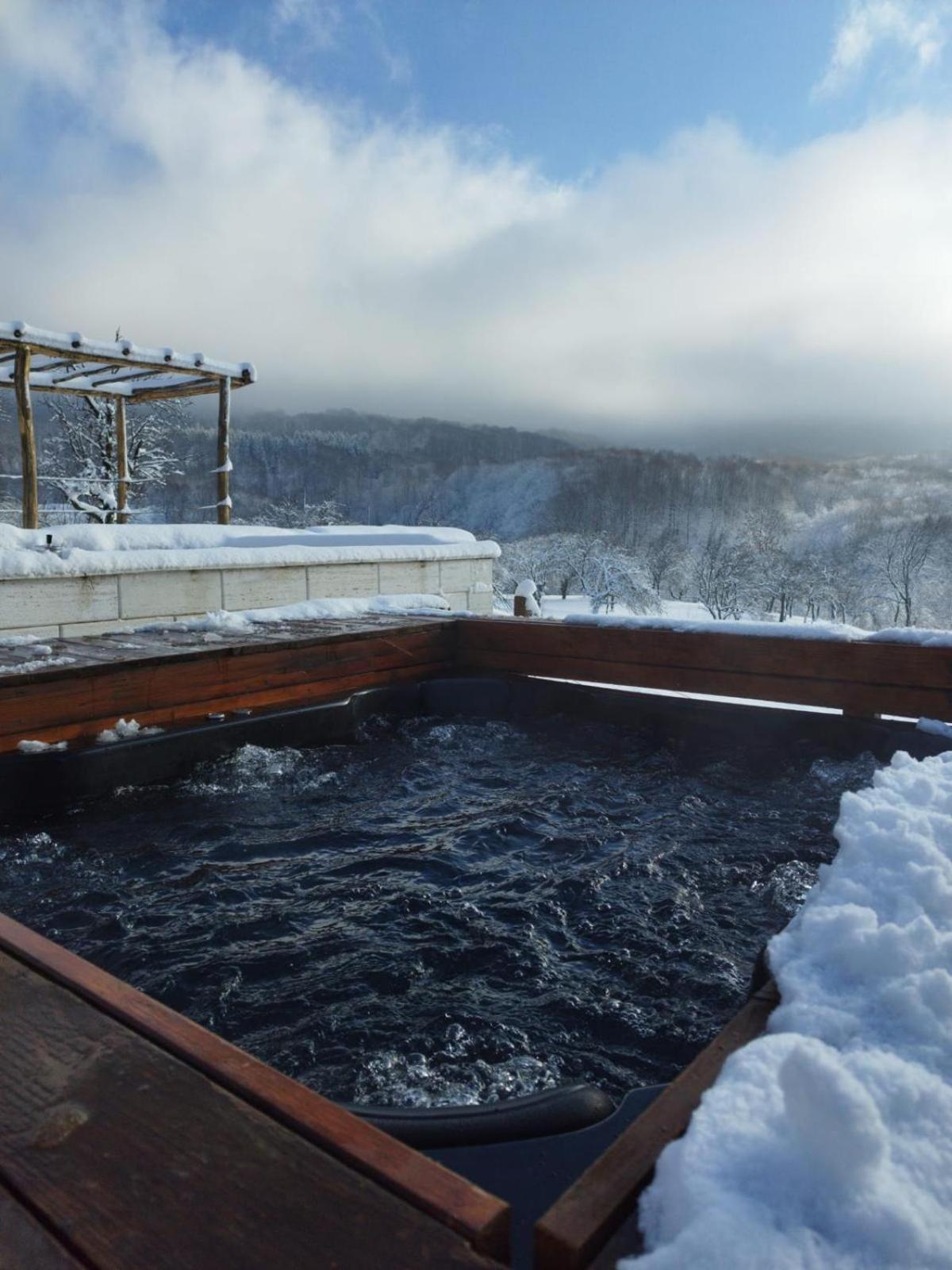 Le Chalet M - Cabana Cu O Panorama De Poveste. Surdesti  Eksteriør bilde
